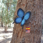 Mariposa Morfo Azul