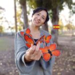 Curso Online grabado Mariposa Monarca